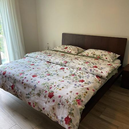 Appartamenti Ramarro 隆科索普拉阿斯科纳 外观 照片